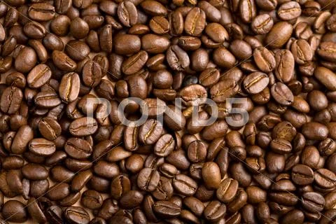 Coffee beans background Stock-Fotos