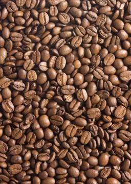 Coffee beans background Stock Photos