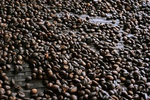 Coffee beans background Stock Photos