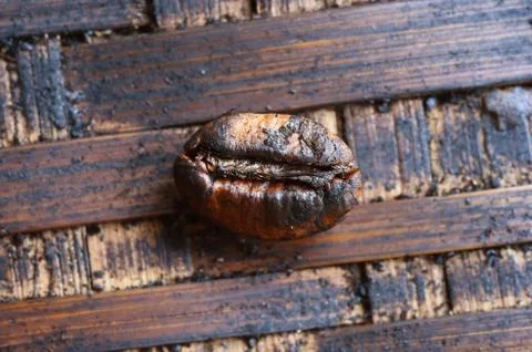 Coffee beans background. Foto stock