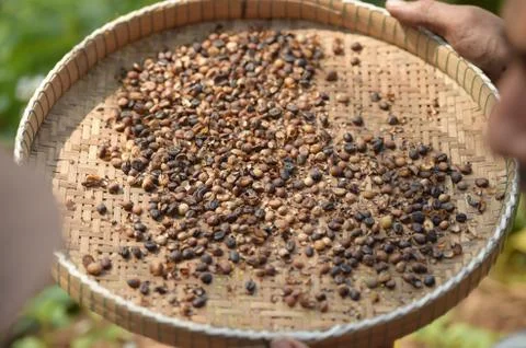 Coffee beans background Stock Photos