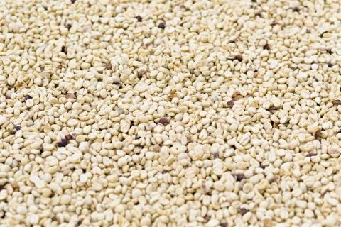 Coffee beans background Foto stock