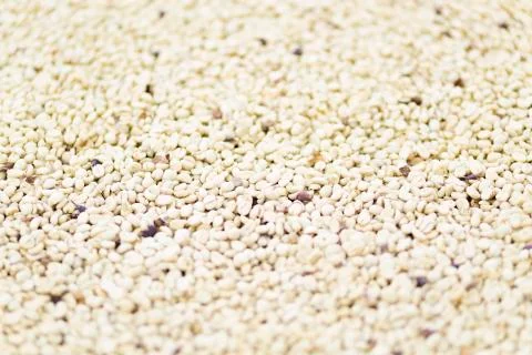 Coffee beans background Stock Photos