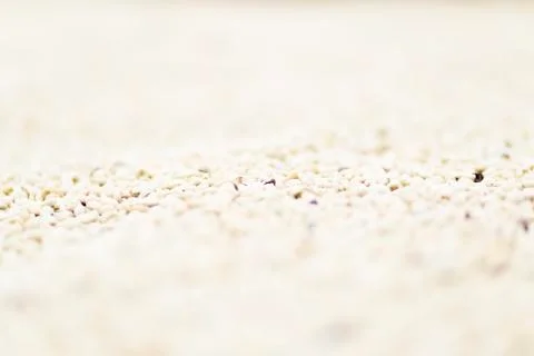 Coffee beans background Foto stock