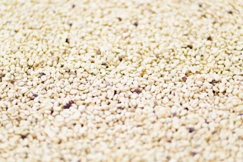 Coffee beans background Stock Photos