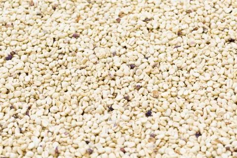 Coffee beans background Stock Photos