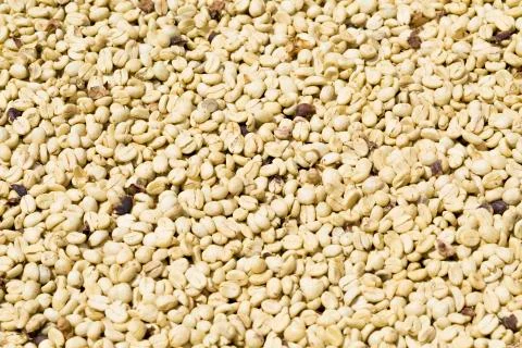 Coffee beans background Stock Photos