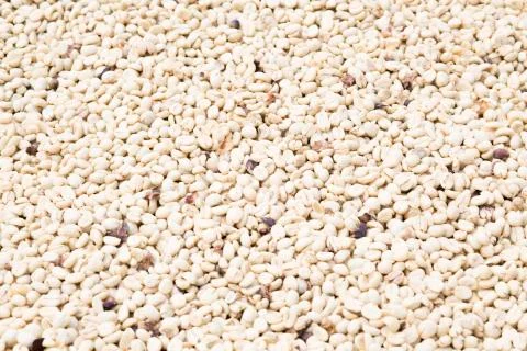 Coffee beans background Stock Photos