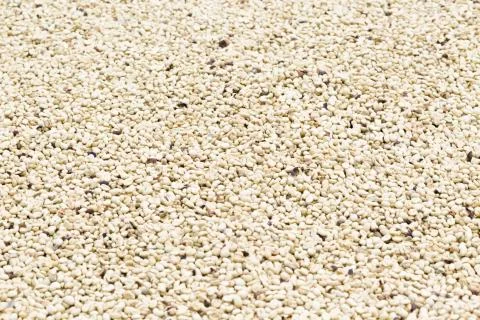 Coffee beans background Stock Photos