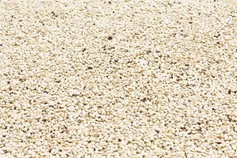 Coffee beans background Stock Photos