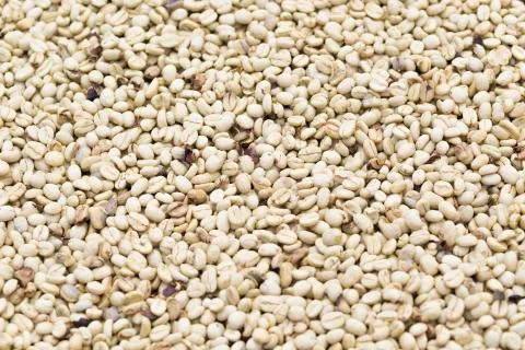 Coffee beans background Stock Photos