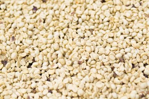 Coffee beans background Foto stock