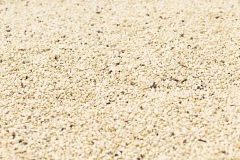 Coffee beans background Stock Photos