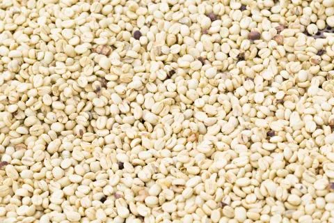 Coffee beans background Stock Photos