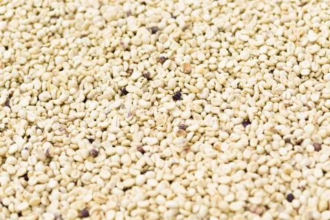 Coffee beans background Stock Photos