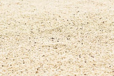 Coffee beans background Stock Photos