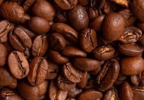 Coffee beans background 写真素材