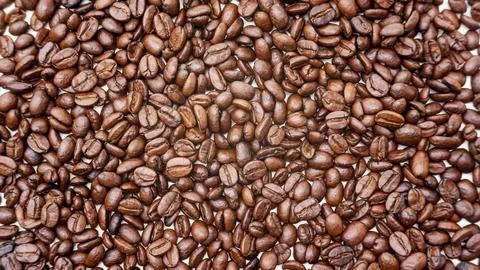 Coffee beans for a background. Stock Photos