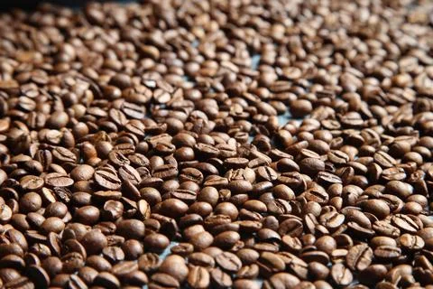 Coffee beans background. Roasted aromatic coffee beans Stock Photos