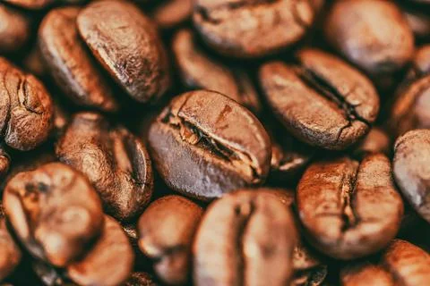 Coffee beans background texture closeup 写真素材