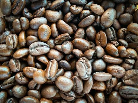 Coffee beans as the background texture Stock Photos