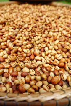 Coffee beans for backgrounds 스톡 사진