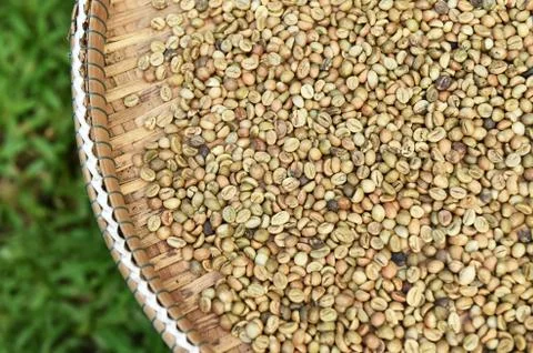 Coffee beans for backgrounds Stock Photos