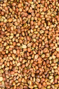 Coffee beans for backgrounds Stock Photos