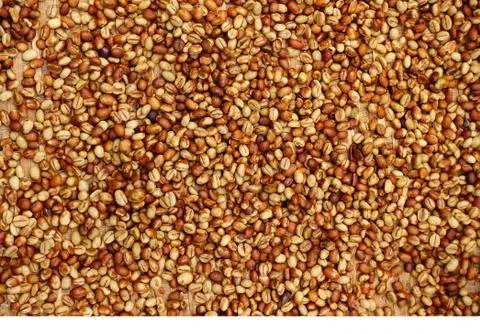 Coffee beans for backgrounds Stock Photos