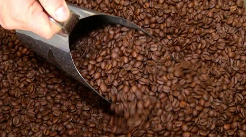 Coffee Beans On Bagging Stock Footage 12653589