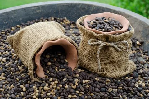 Coffee Beans in a Bags Stock Photos
