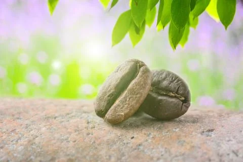 Coffee beans beans on a rock Stock Photos
