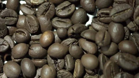 Coffee beans being brewed Stock Footage 259794199