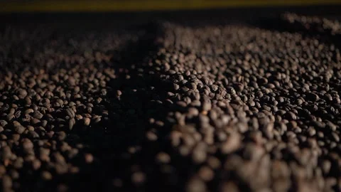 Coffee beans being dried on a farm in Brazil Stock Footage 258600934