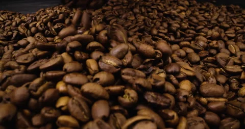 Coffee beans being dropped in extreme close up, macro shot Stock Footage 146514484