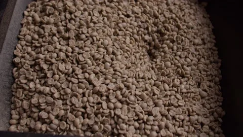 Coffee beans being placed in the machine Stock Footage 199473057