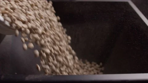 Coffee beans being placed in the machine Stock Footage 199473094
