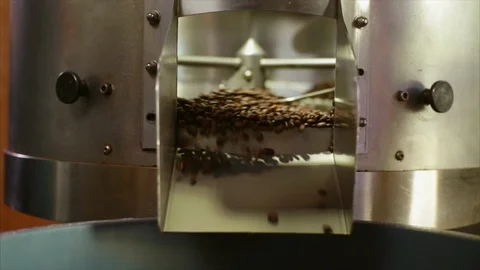 Coffee beans being processed in a machine. Stock-Footage 88405088