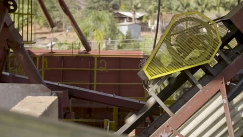 Coffee beans being processed with plantation machinery Stock Footage 263901593