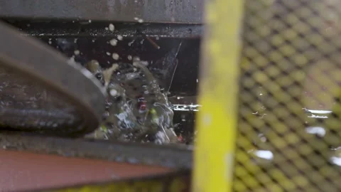 Coffee beans being processed with plantation machinery Stock Footage 263901605