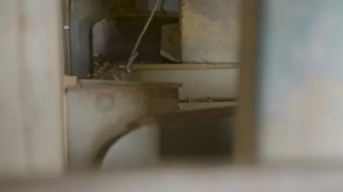 Coffee beans being processed with plantation machinery Stock Footage 263901645