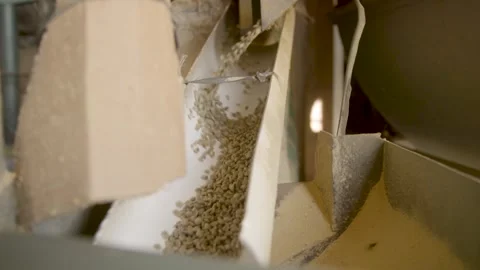 Coffee beans being processed with plantation machinery Stock Footage 263901651