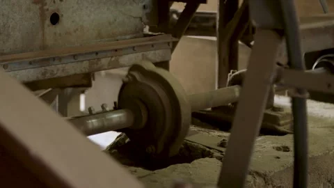 Coffee beans being processed with plantation machinery Stock Footage 263901711