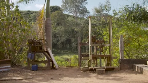 Coffee beans being processed with plantation machinery Stock Footage 263901723