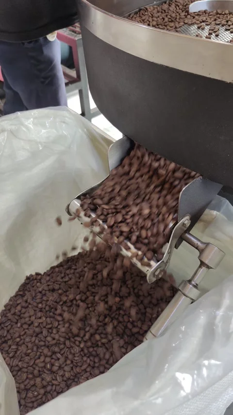 Coffee beans being released through the discharge port 스톡 동영상 276643629