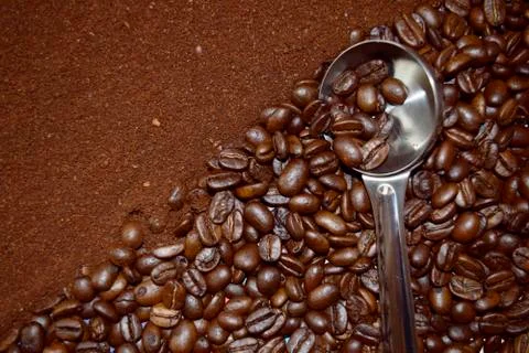 Coffee beans in the blade. Stock Photos