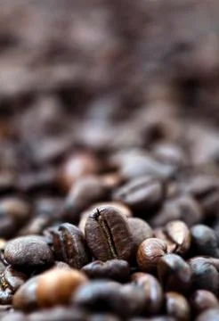 Coffee beans - bokeh Stock Photos