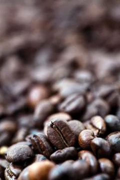 Coffee beans - bokeh Stock Photos