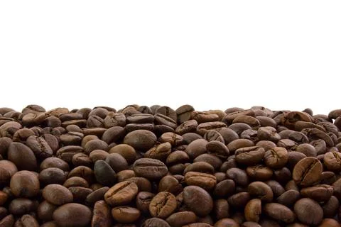 Coffee beans at the bottom of the frame with a white background. Arabica clos 写真素材