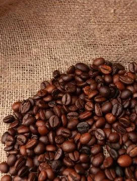 Coffee beans on burlap background Stock Photos